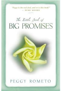 Little Book of Big Promises