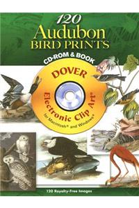 120 Audubon Bird Prints