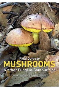 Mushrooms and Other Fungi in South Africa