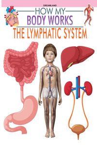 The Lymphatic System (How My Body Works)