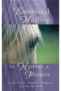 Emotional Healing For Horses & Ponies