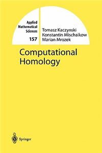 Computational Homology