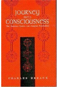 Journey Into Consciousness