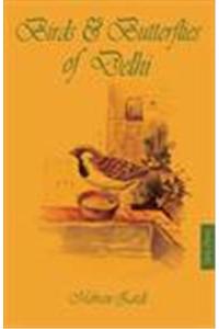 Birds & Butterflies Of Delhi