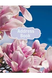 Address Book