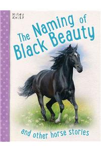 The Naming of Black Beauty: And Other Horse Stories, 5-8: And Other Horse Stories, 5-8