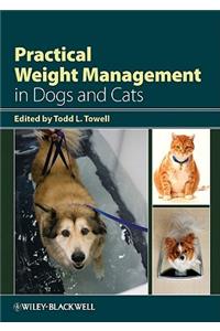 Practical Weight Management in Dogs and Cats