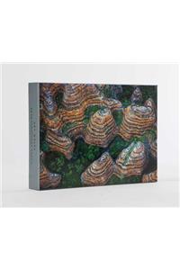 Art Wolfe: Extraordinary Earth Blank Boxed Notecards