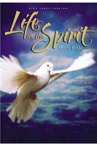 King James Life in the Spirit Study Bible