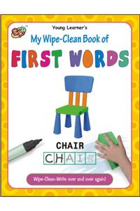 My Wipe-Clean Book Of First Words