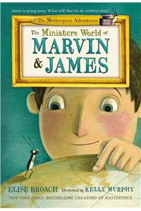Miniature World of Marvin & James