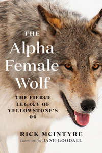 The Alpha Female Wolf