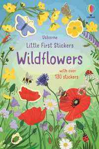 Little First Stickers Wildflowers