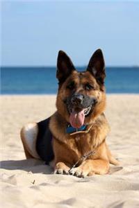 Beach Doggie: Happy German Shepherd Dog on the Beach Journal: 150 Page Lined Notebook/Diary