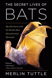 Secret Lives of Bats