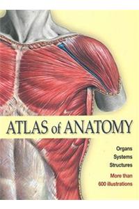 Atlas Of Anatomy Organs Systems Structures 2009