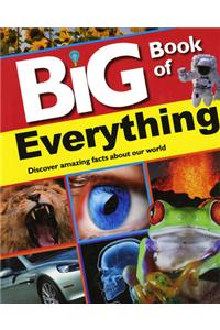 Big Book Of Everything