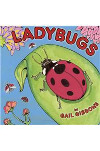 Ladybugs