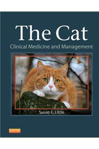 The Cat: Clinical Medicine and Management