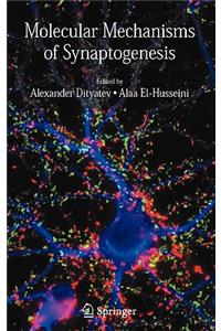 Molecular Mechanisms of Synaptogenesis