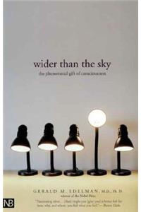 Wider Than the Sky: The Phenomenal Gift of Consciousness