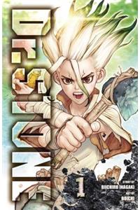 Dr. Stone, Vol. 1