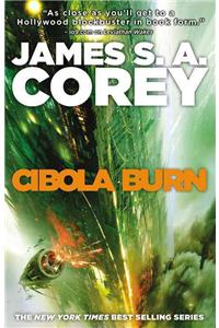 Cibola Burn