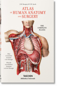 Bourgery. Atlas of Human Anatomy and Surgery: Atlas of Human Anatomy and Surgery