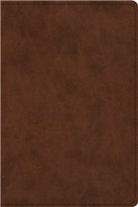 Study Bible-ESV-Personal Size