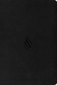 Premium Gift Bible-ESV-Flame Design: English Standard Version, Trutone, Midnight, Flame