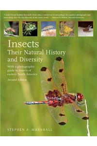 Insects: Their Natural History and Diversity