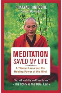 Meditation Saved My Life