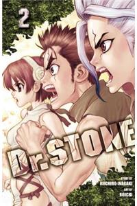 Dr. Stone, Vol. 2