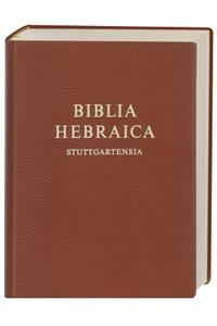 Hebrew Bible-FL-Compact