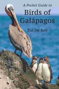 Pocket Guide to Birds of Galápagos