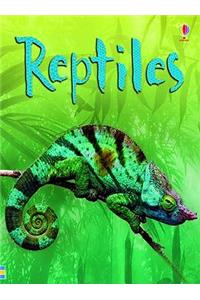 Reptiles