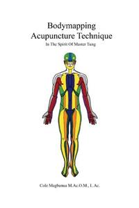 Bodymapping Acupuncture Technique