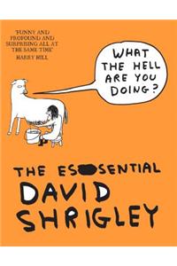 What The Hell Are You Doing?: The Essential David Shrigley