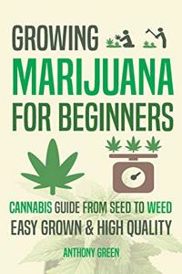 Growing Marijuana for Beginners