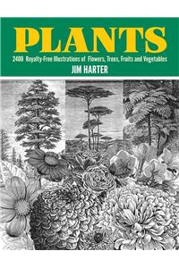 Plants: 2,400 Royalty-Free Illustrations of Flowers, Trees, Fruits and Vegetables