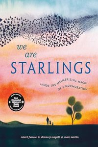 We Are Starlings