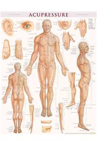 Acupressure Poster (22 X 28 Inches) - Laminated: Anatomy of Points for Acupressure & Acupunture