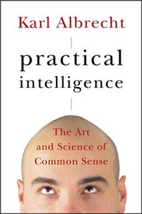 Practical Intelligence: The Art and Science of Common Sense