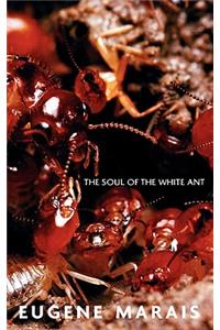 Soul of the White Ant