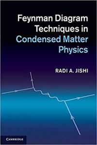 Feynman Diagram Techniques in Condensed Matter Physics (Paperback)