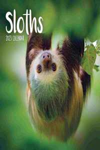 Sloths Mini Square Wall Calendar 2023