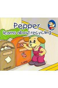 Pepper Learns About Recycling