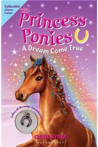 Princess Ponies: A Dream Come True