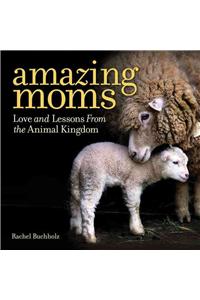 Amazing Moms