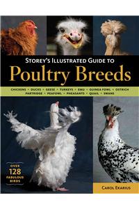 Storey's Illustrated Guide to Poultry Breeds